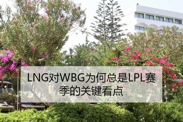 LNG对WBG为何总是LPL赛季的关键看点